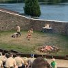2021-Summer Camp